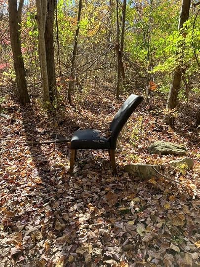 forest seat