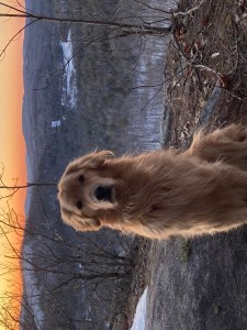 Lapham Sunrise with Eli 3_16_21