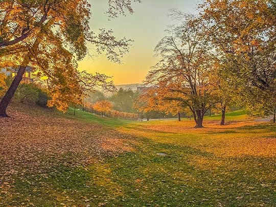 A gently sloping hill in a park, the ground covered by red and gold leaves. 