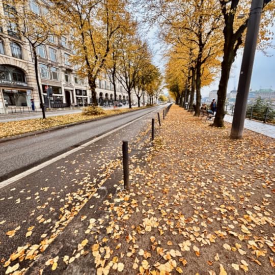 Der Fußweg an der Binnenalster, Ballindamm, mit Herbstlaub bedeckt