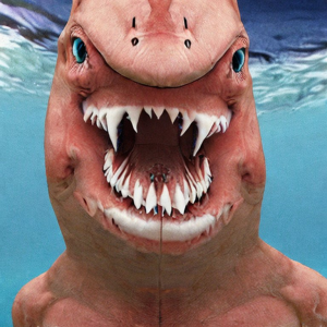 (без названия)