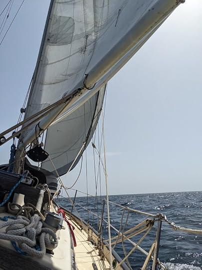 Cetacea under full sail