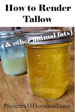 How to render tallow and other animal fats