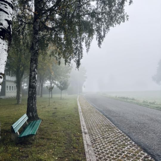Eine Bank unter Birken an einer Dorfstraße im morgendlichen Nebel