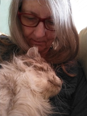 Cat snuggling with a person.