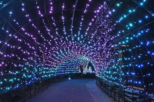 Lights at Dollywood at Christmas