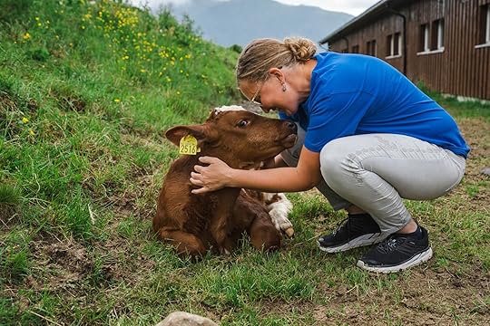 Woman with cow at Tingvollost cheese in Northwest Norway