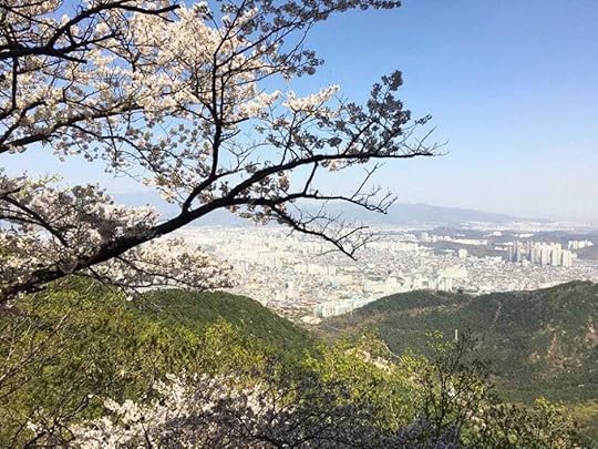 Apsan Mountain: Early springtime in Daegu