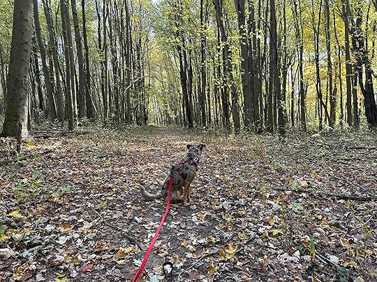woodland park and nature preserve