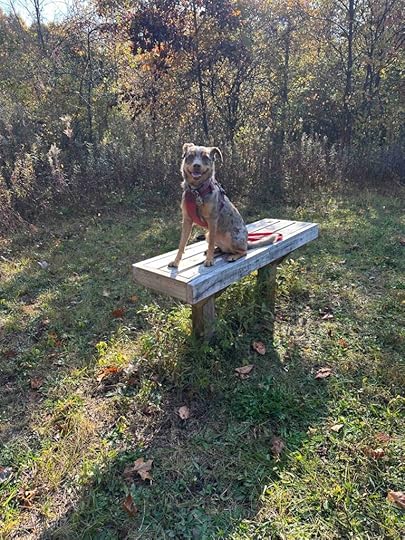 pretty girl on the bench