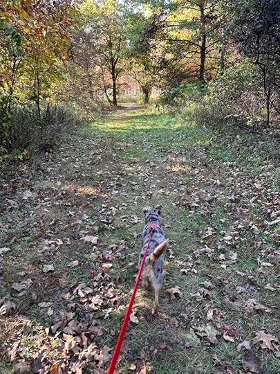 Woodland Park and Nature Preserve