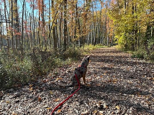 Woodland Park and Nature Preserve