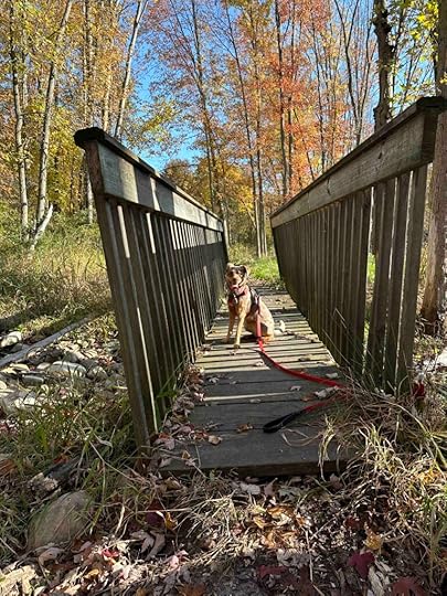 bridge at Woodland Park and Nature Preserve