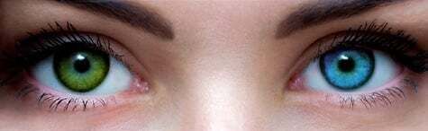 0B5F6981-9C91-4651-9579-9BBA8E2A9F0D