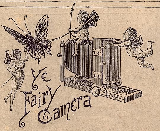 AnFair3Cat.jpg (60430 bytes)