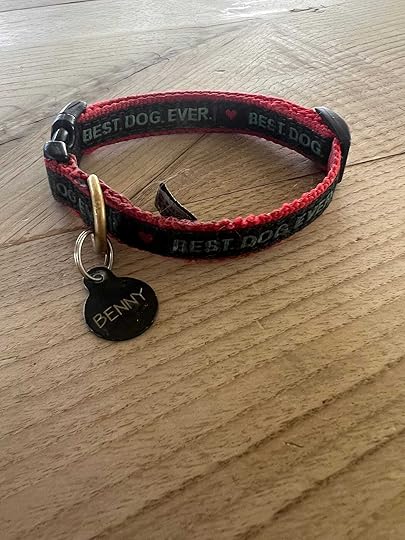 Dog collar on a table. Collar says Best. Dog. Ever. and has a tag reading Benny.