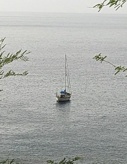 Cetacea at anchor from the mountain trail