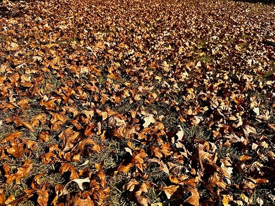 dead leaves