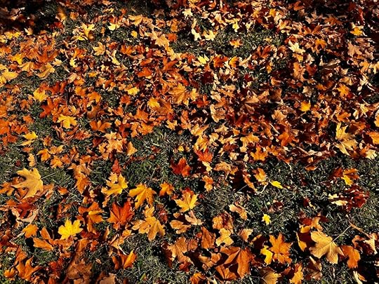 dead leaves