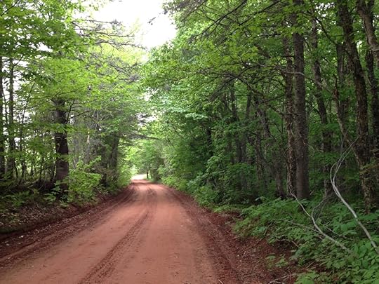 The bend in the road: a red dirt road and green trees on a PEI farm