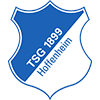 Wappen TSG Hoffenheim