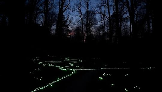 wellesley monster sightings report