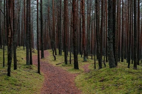 Two paths through trees - choices, decisions, and your life today