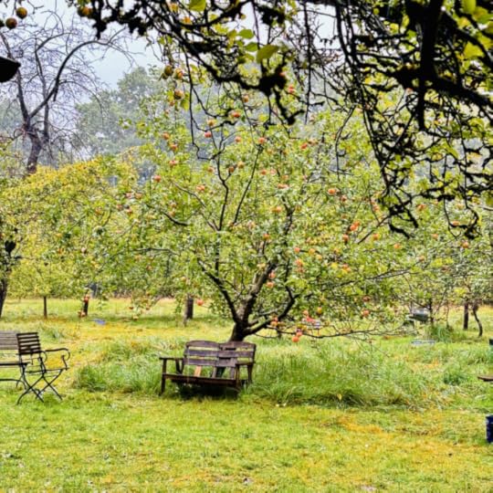 Die Streuobstwiese Appelwisch, Bänke unter alten Apfelbäumen
