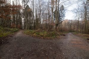 I knew the way to walk from Kreuzbuche to Bad Nenndorf