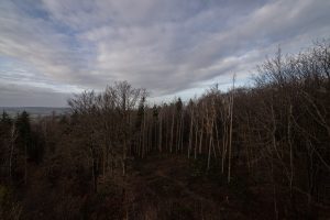 on the Belvedere Tower in the Deister