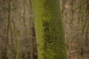 I carved in my Chinese name 雷克 here once