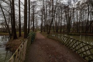 bridge over the Erlengrund lake