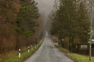 the road into the Deister