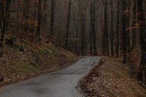 steep inclines in the forest