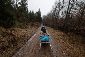 the Caboose in the Deister