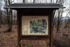 there are these information panels everywhere