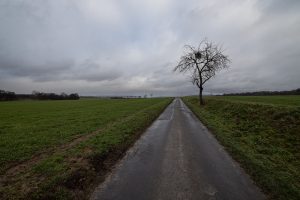 the way to walk from Hameln to Springe