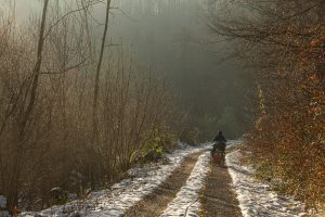 The Longest Way on a wintery forest road in Lower Saxony