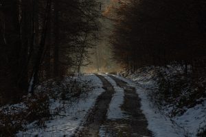 I really liked this light