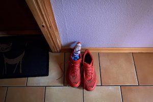 my shoes in the morning