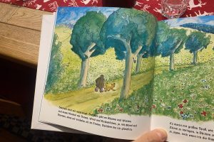 Michael Holzach's book with Freda Heyden's illustrations