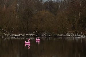 what are they doing there