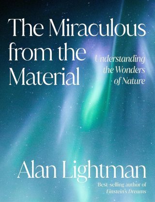 Grace Against Gravity and the Physics of Vulnerability: How Birds Fly and Why They Flock in a V Formation