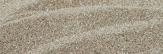 Recensione di La sabbia non ricorda di Giorgio Scerbanenco