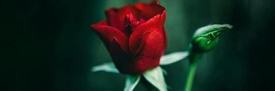 Recensione di La Bestia di Carmen Mola