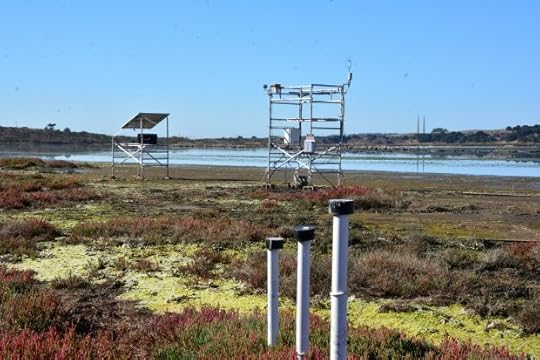 Large towers full of sensors measure the amount of carbon dioxide and methane that study sites in Elkhorn Slough exchange with the atmosphere. (Mark DeGraff -- Herald Correspondent)