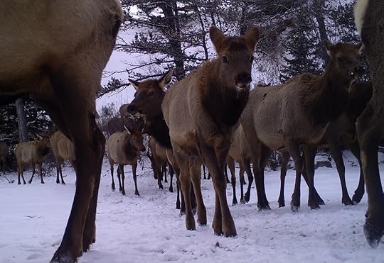 This image has an empty alt attribute; its file name is 01220161.jpg