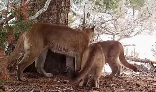 This image has an empty alt attribute; its file name is screenshot-2024-03-25-at-10.06.38e280afpm.png