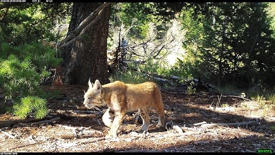 This image has an empty alt attribute; its file name is rcnx0135.jpg