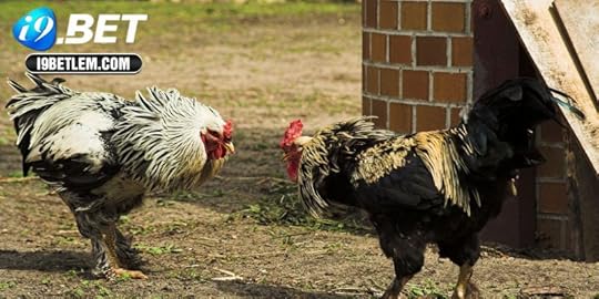 Những đặc điểm của  chọn lọc gà tơ tốt